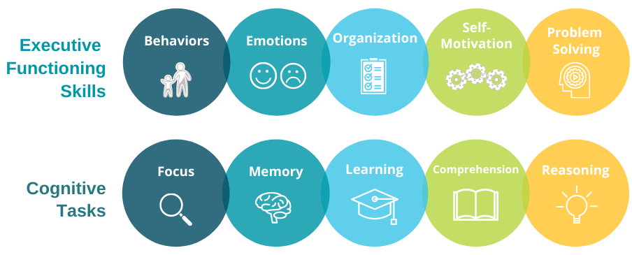 Brain Balance At-home Program 